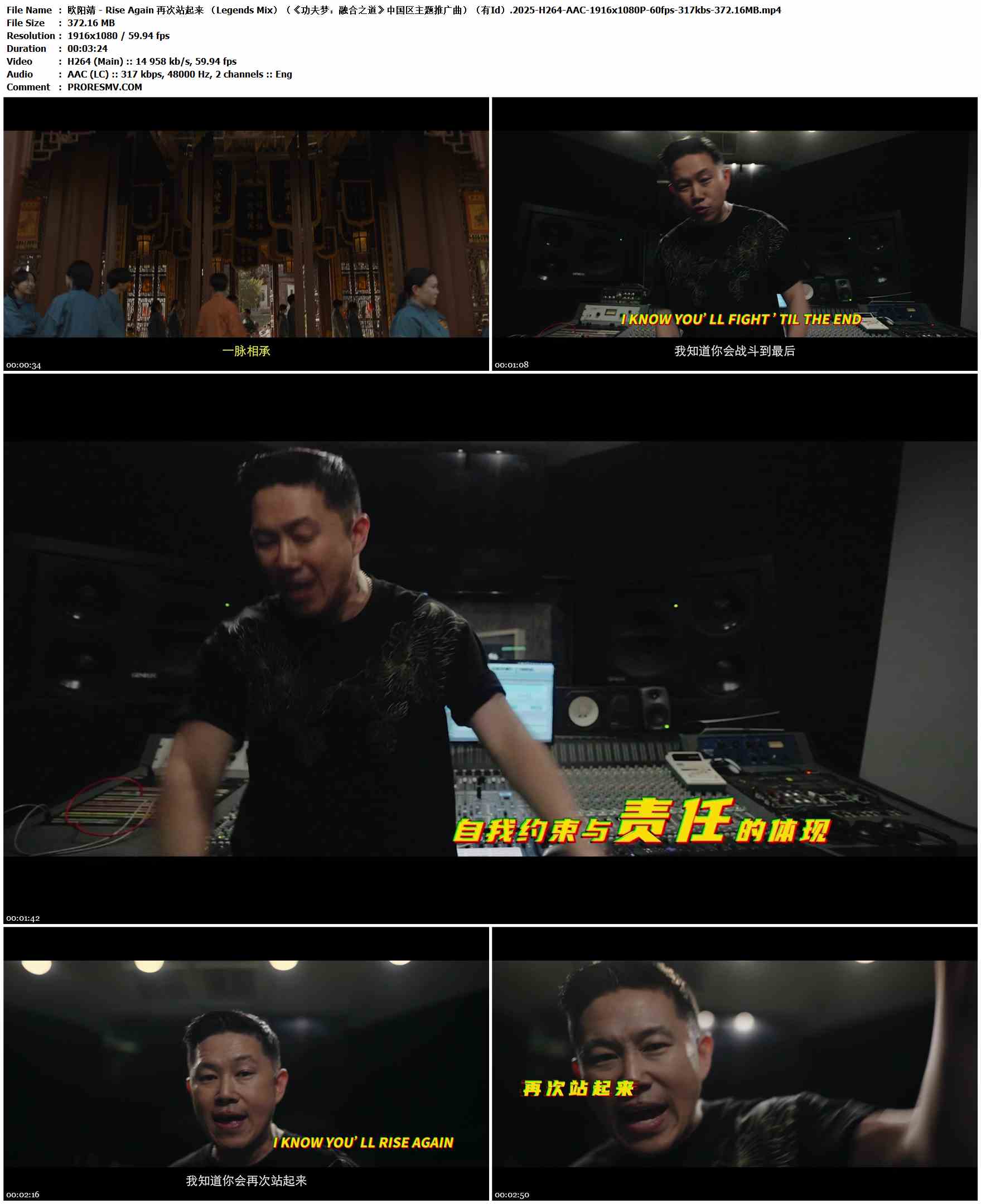 欧阳靖 - Rise Again 再次站起来 （Legends Mix）（《功夫梦：融合之道》中国区主题推广曲）（有Id）.2025-H264-AAC-1916x1080P-60fps-317kbs-372.16MB官方MV_高清MV